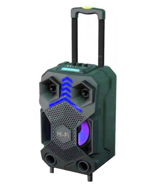 Bluetooth bedna s mikrofonem pro karaoke 20W